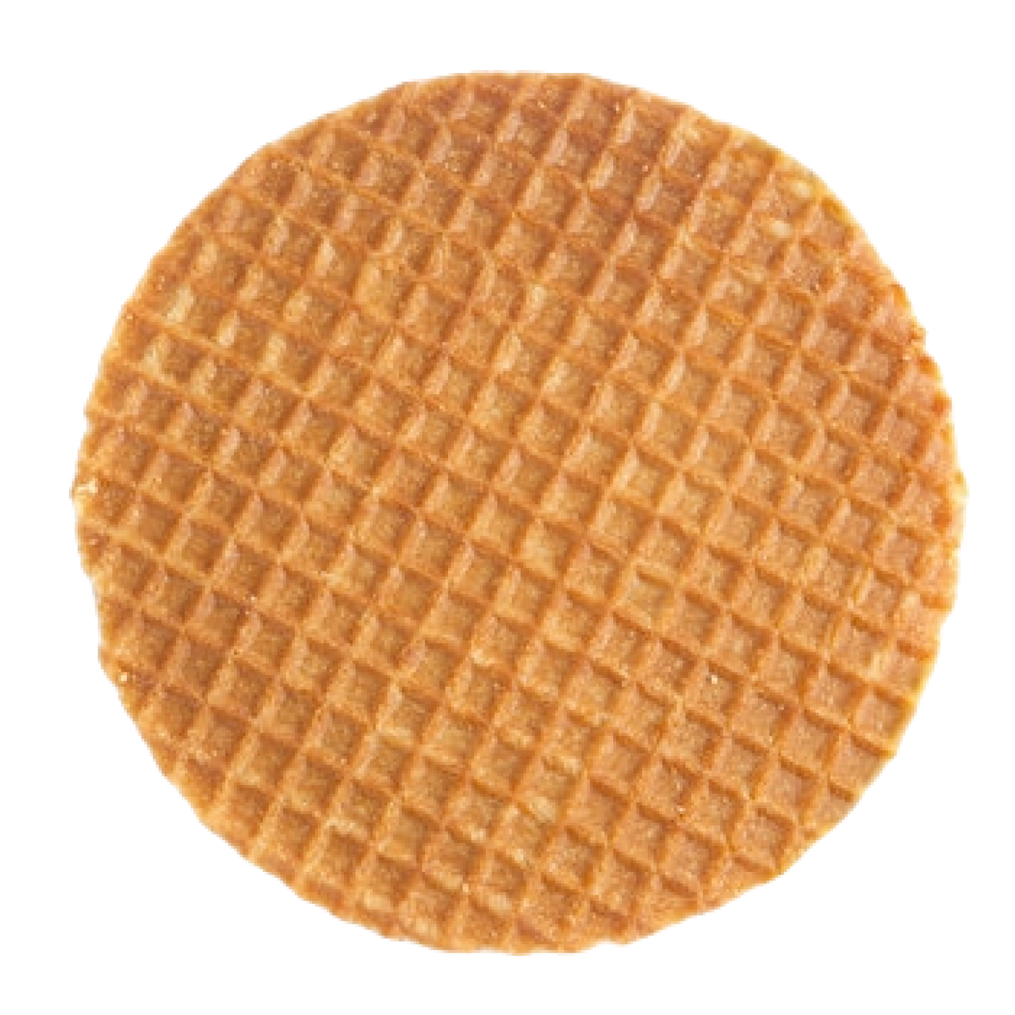 A waffely stroopwafel rolling into the screen